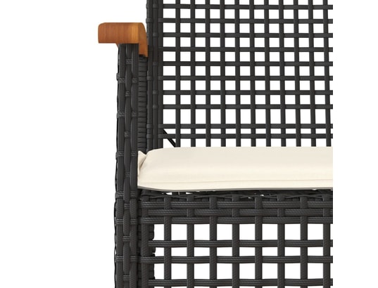 VIDAXL - Chaises de jardin coussins lot de 2 noir résine tressée acac...