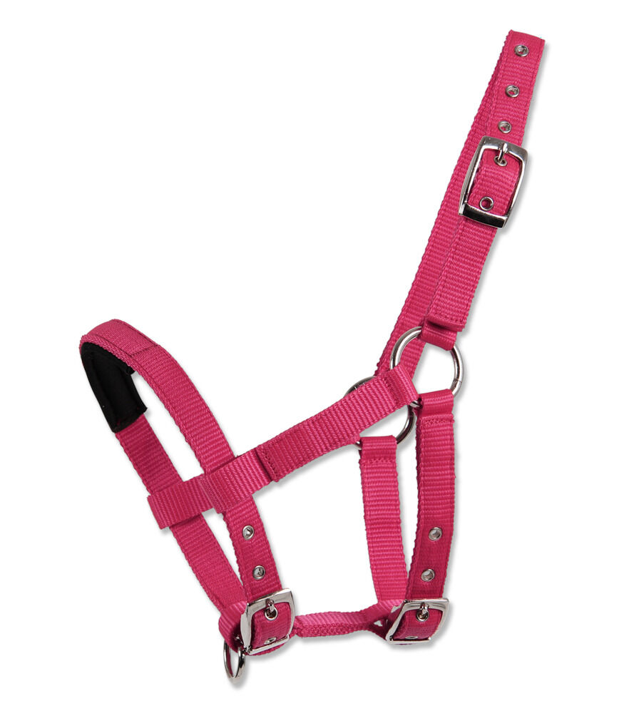 Waldhausen Mini - Halster - Roze - Mini shetlander
