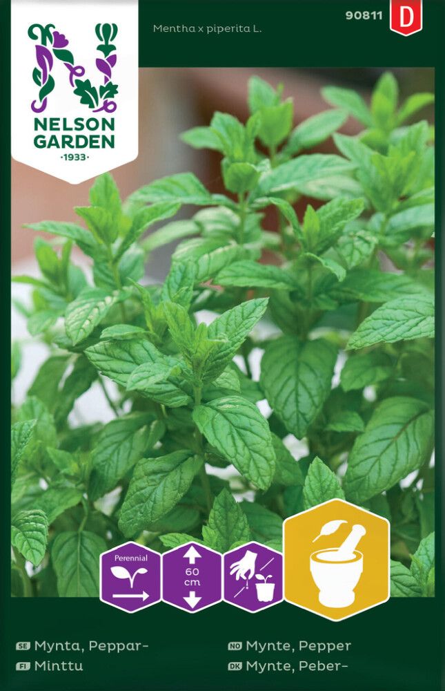 KRYDDERURTER NELSON GARDEN PEPPERMYNTE