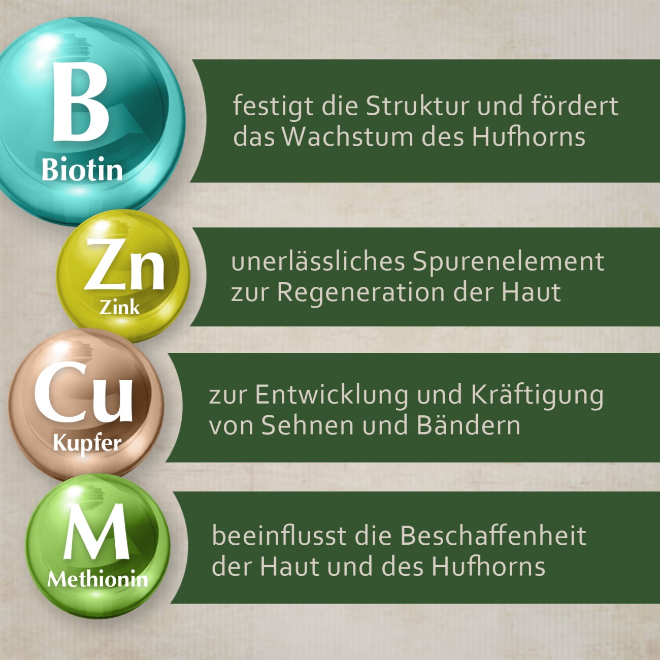 Montanus ® nature Biotin-Konzentrat 1 kg