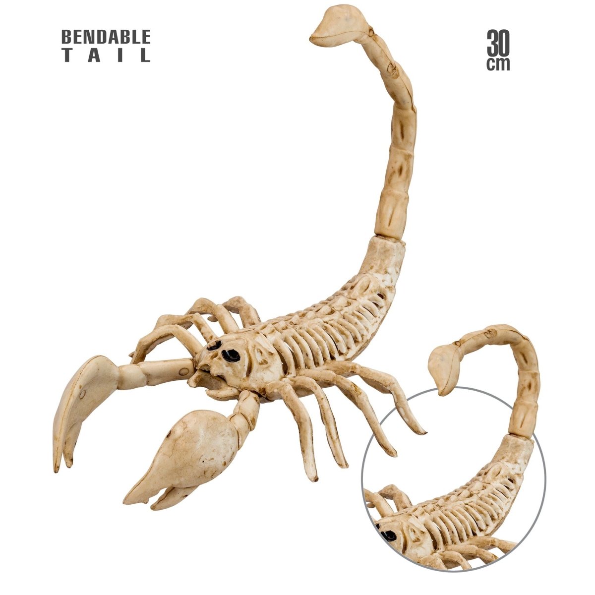 Halloween Skelet Schorpioen 30cm