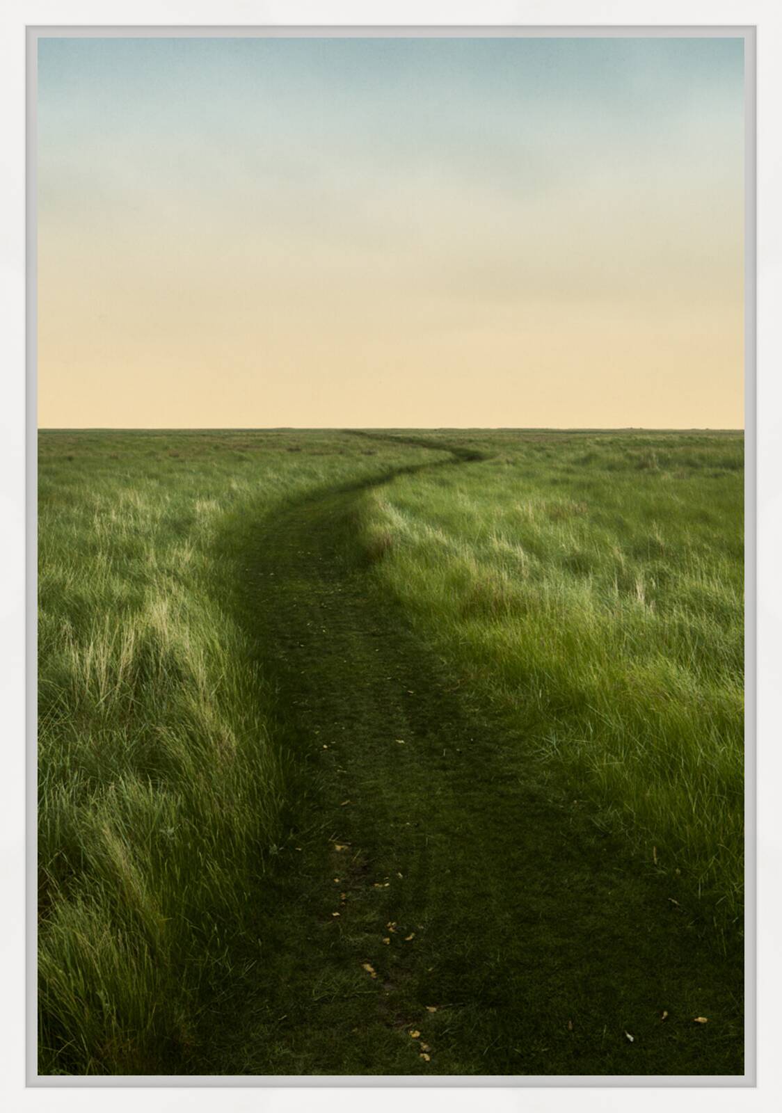 Floating World Trail by Christian Schmidt - Limited Edition. Edition of: 150. Signed.