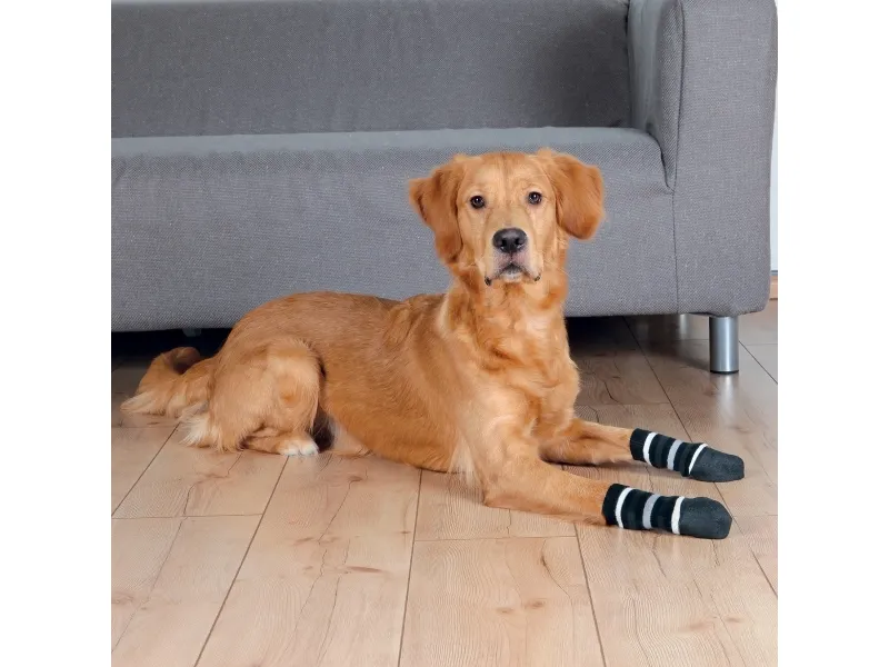 Trixie Hundesokker, non-slip, M–L, 2 stk., sort