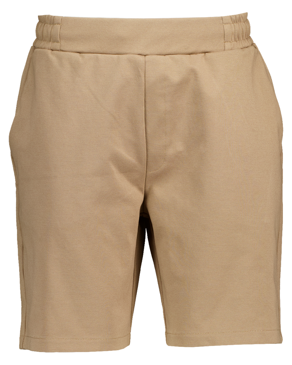 Short - Bruin