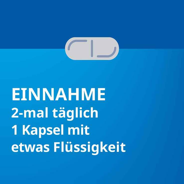 Silymarin STADA 156 mg Hartkapseln, 100 St