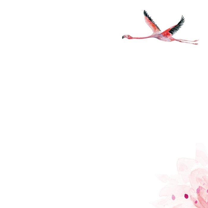 Michelle Dujardin | Verjaardag | Flamingo