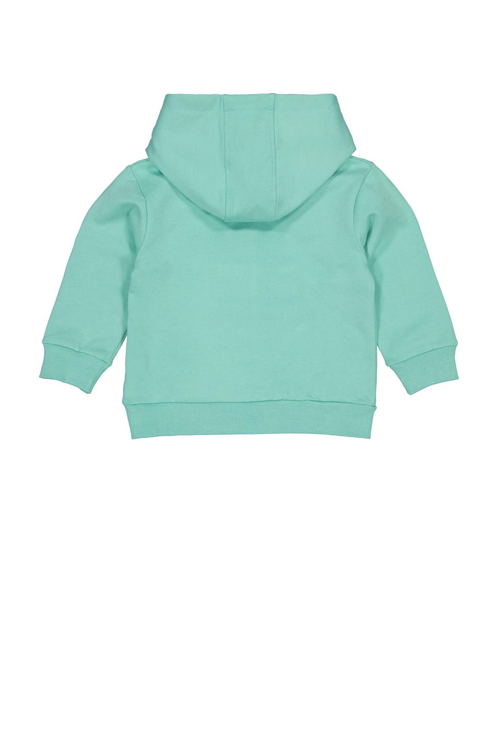 Quapi hoodie groen