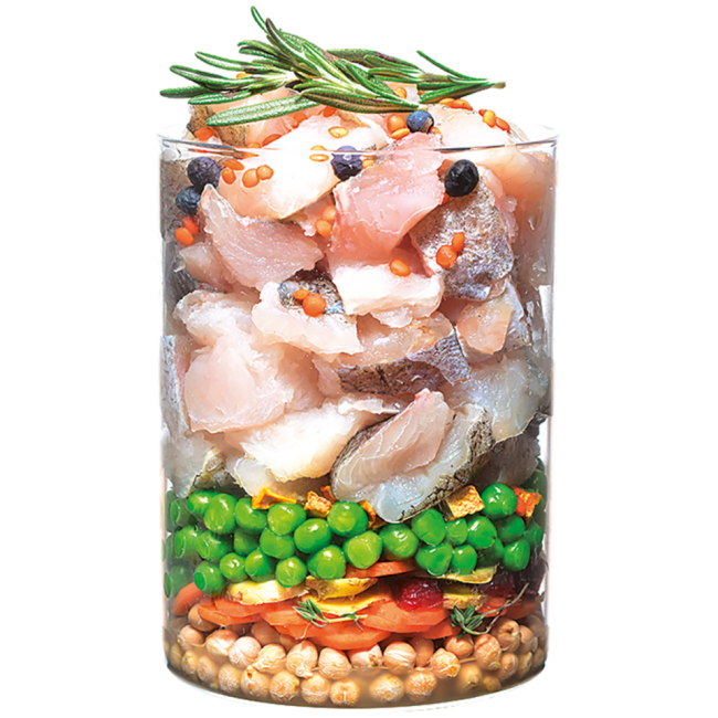 Carnilove True Fresh au poisson pour chien adulte
