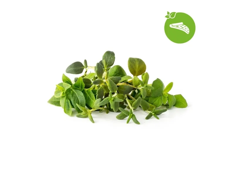 Click & Grow Plant Pod Italian Mix 9pcs