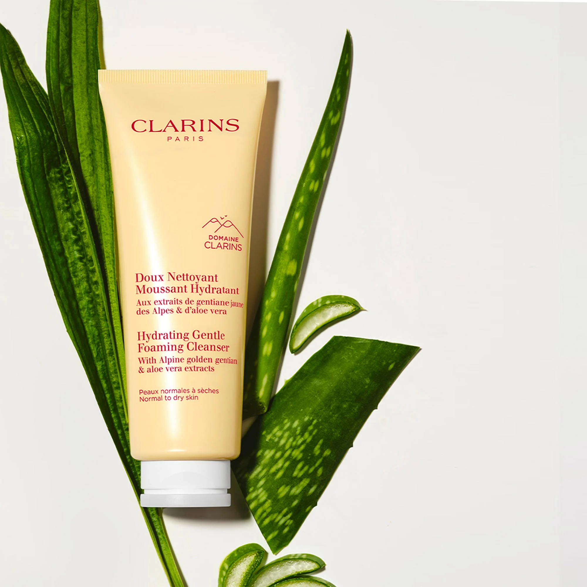 Doux Nettoyant Moussant Hydratant - Peaux normales à sèches |