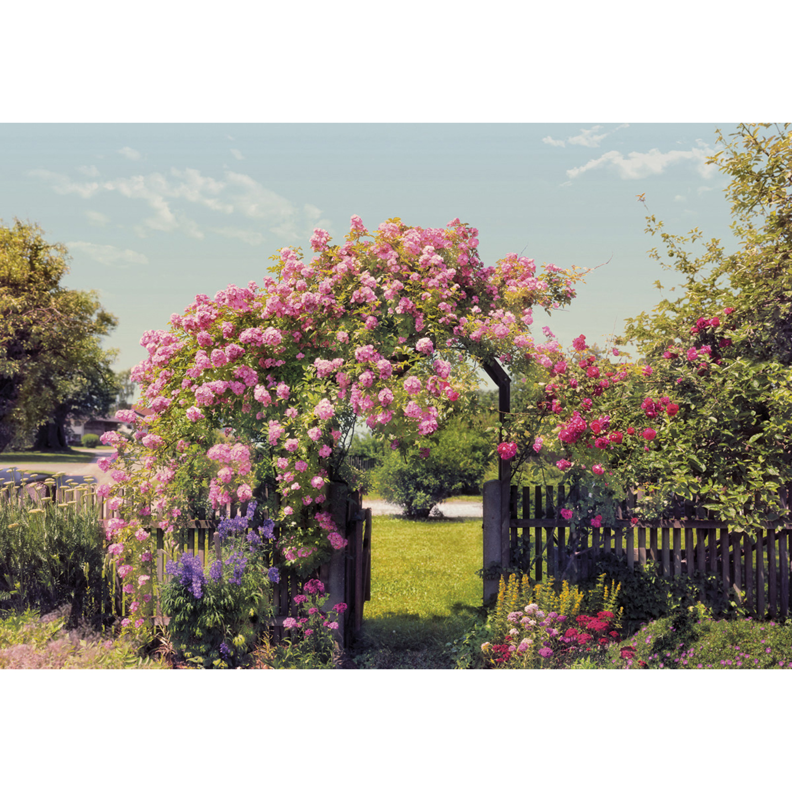 Papier-Fototapete ROSE GARDEN - blau-grün-rosa - 368x254 cm