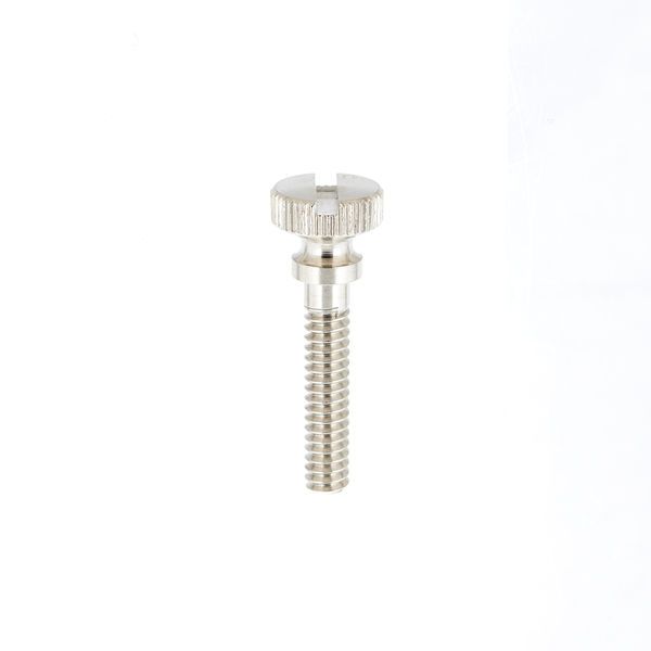 Thomann Lyre Screw 8x25x6/32'' NP