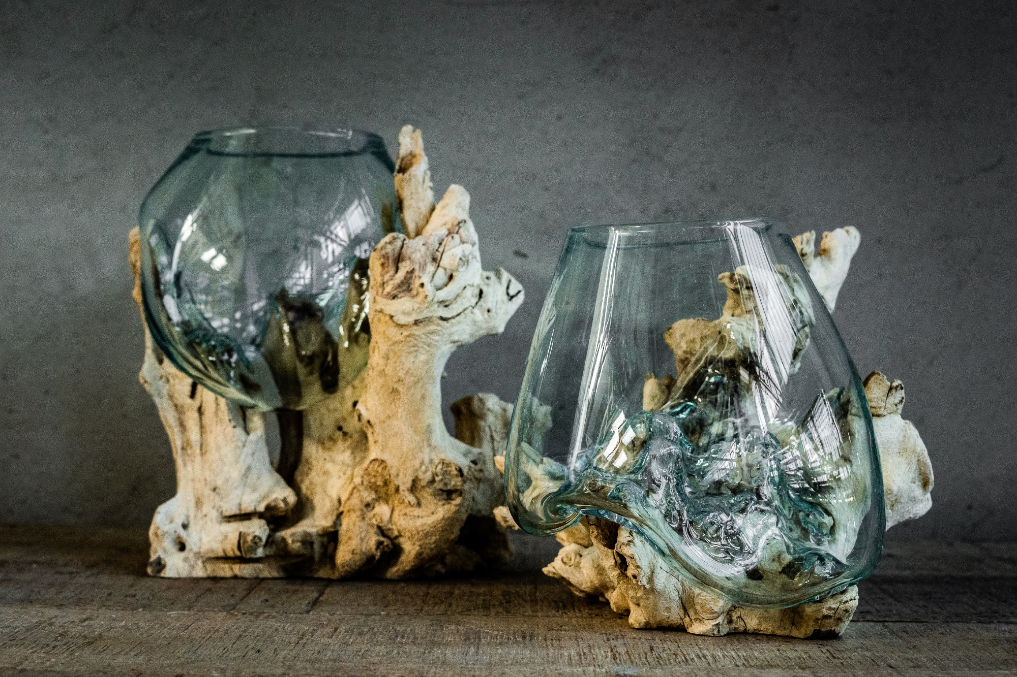 Glasvase aus Wurzelholz, natur, T 10 - 15 cm, B 15 - 23 cm, H 14 - 17 cm von fischer's lagerhaus