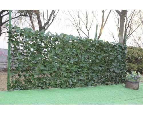 Privacyschermmat, klimoplook, 300 x 100 cm