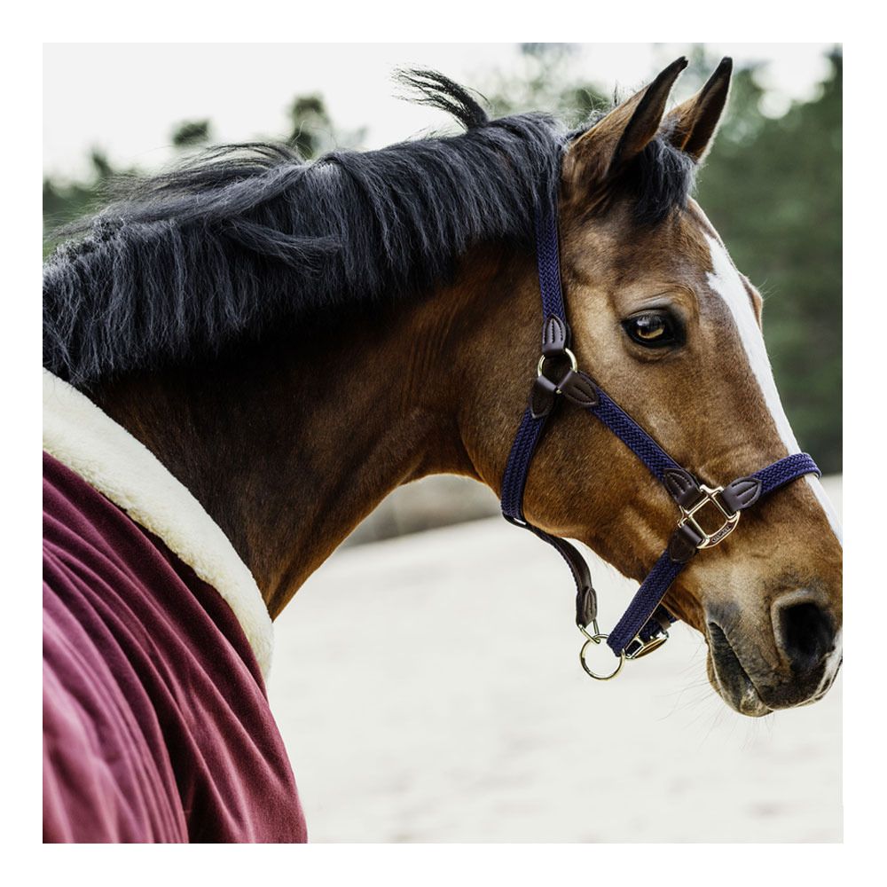 Kentucky SHOW HEAVY - Chemise séchante bordeaux