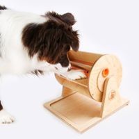 Brinquedo inteligente para cães: roda da fortuna