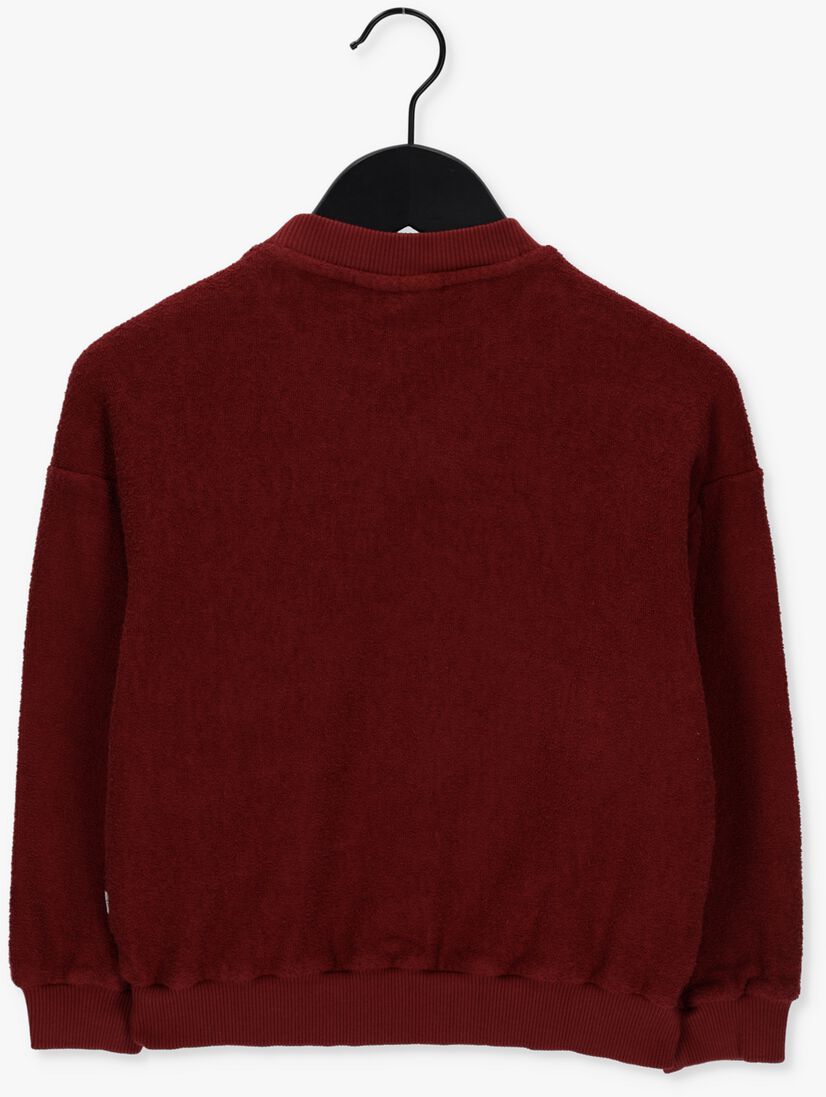 BLOSSOM KIDS bordeaux blossom kids trui max