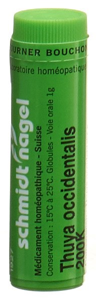 SCHMIDT-NAGEL Thuya occidentalis Glob 200 K 1 g