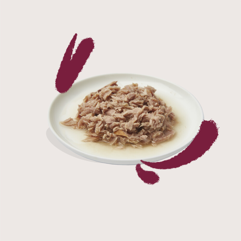 Edgard & Cooper Kattenvoer Fillets Tonijn - Kip70 gr