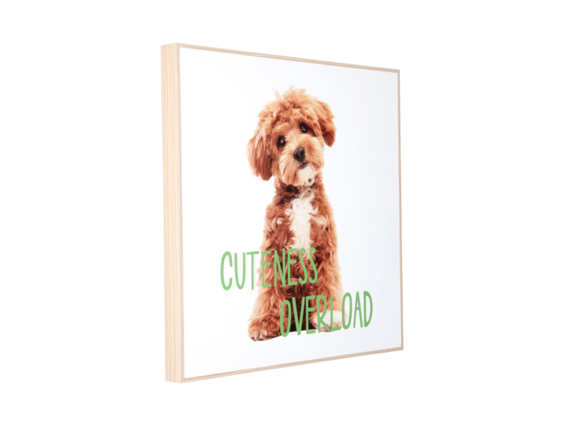 Wall Art Puppy Cuteness Overload