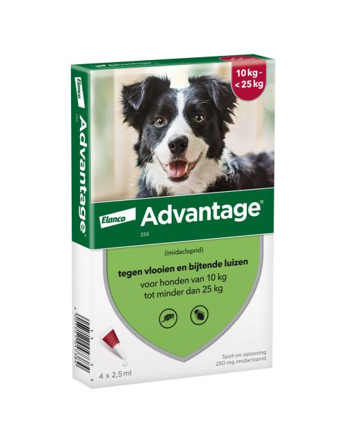 Advantage Hond 4 pip - Anti vlooien en luizenmiddel