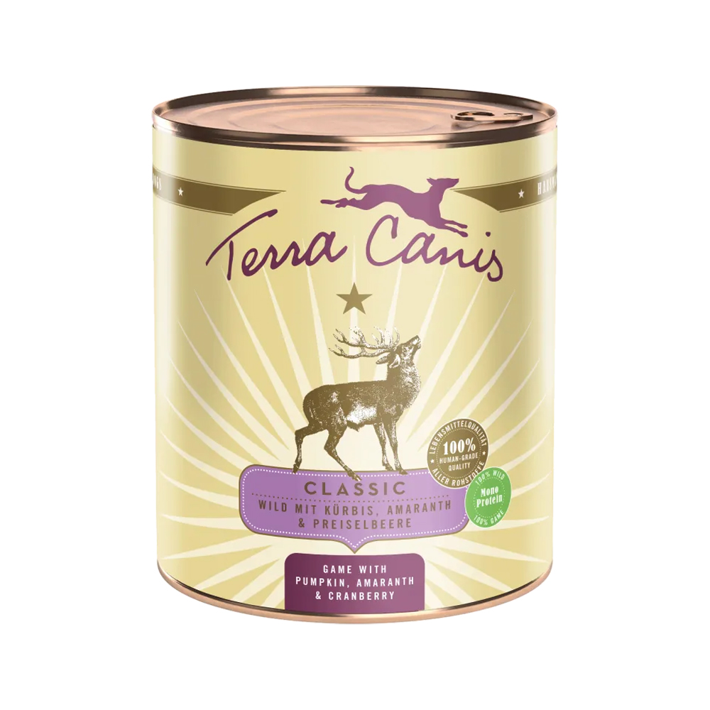 Terra Canis Classic Game with Pumpkin