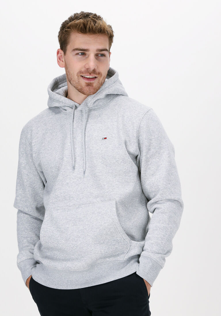 TOMMY JEANS lichtgrijze tommy jeans sweater tjm regular fleece hoodie