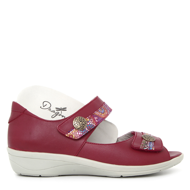 Dragonfly Re-3403 | ROUGE