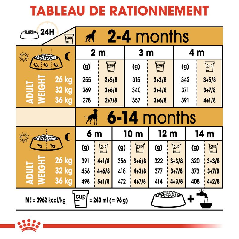 Royal Canin Boxer Puppy sur bitiba.fr
