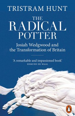 The Radical Potter: Josiah Wedgwood and the Transformation of Britain (Paperback)