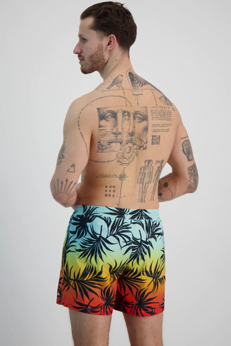 Quiksilver Everyday Mix Volley 15 Inch Herren Badeshort