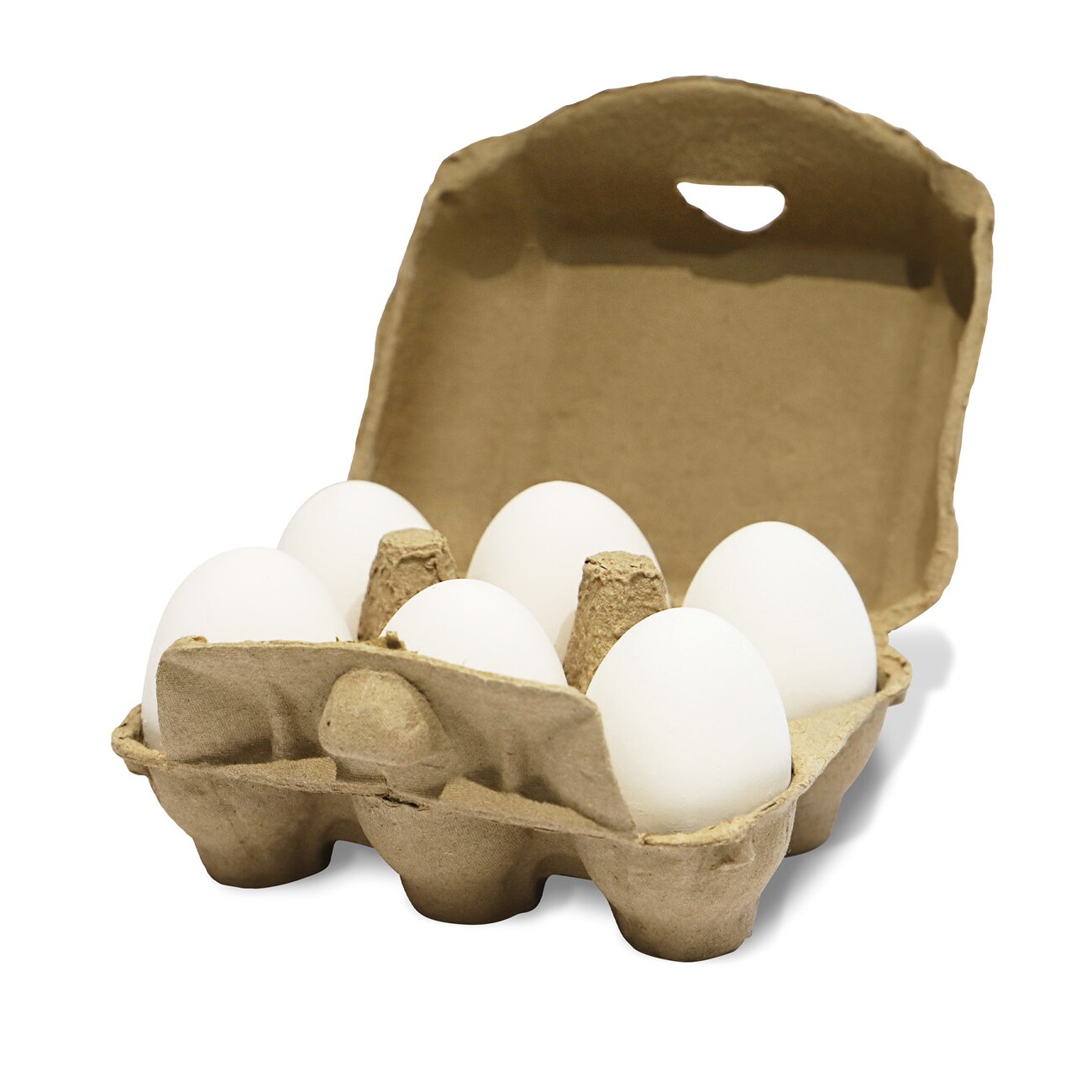AniForte Toneier 6er Pack