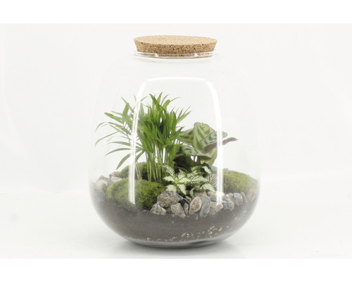 Flessentuin DIY Set Complete Set Modern H 30 cm Ø 23 cm