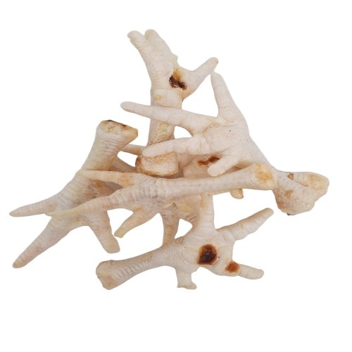 Petiscos Naturais Dognia para Cães - Pacote