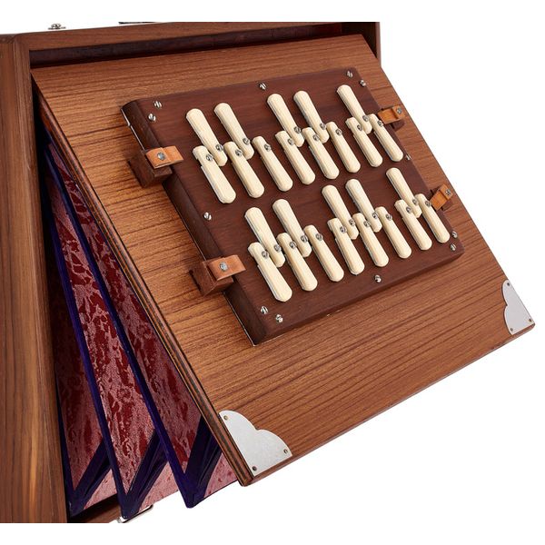 Thomann Nataraj Prof. Shruti 2 Octaves