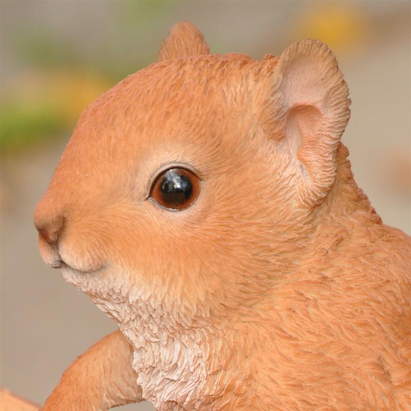 Dazikemo Eichhörnchen Zaunfigur
