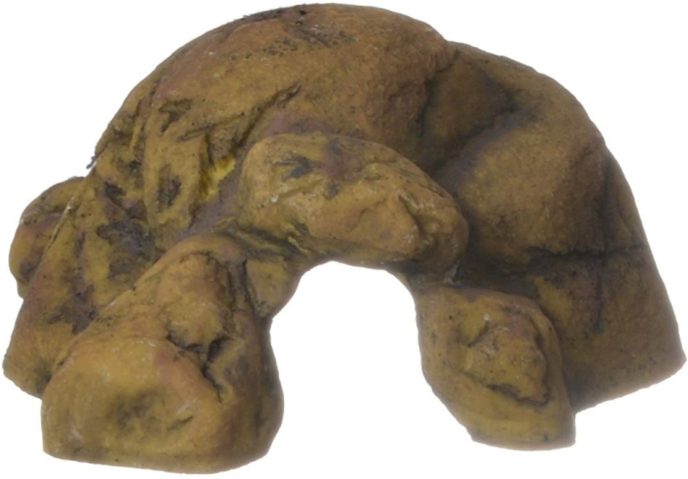 Cachette reptile grotte grand