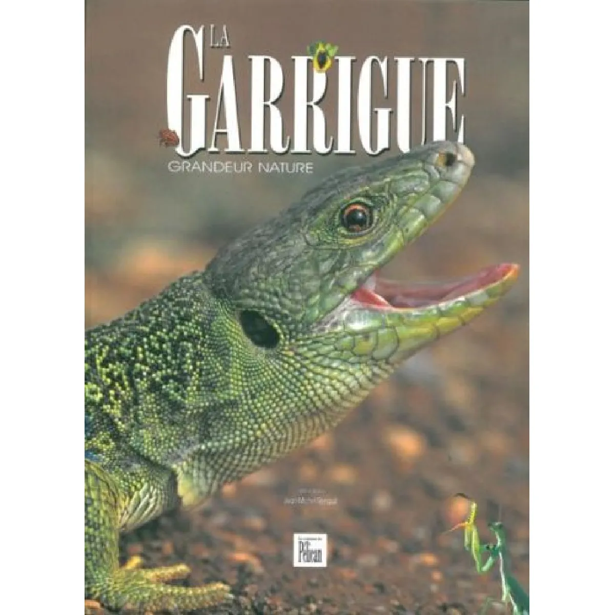 La garrigue : grandeur nature · Occasion
