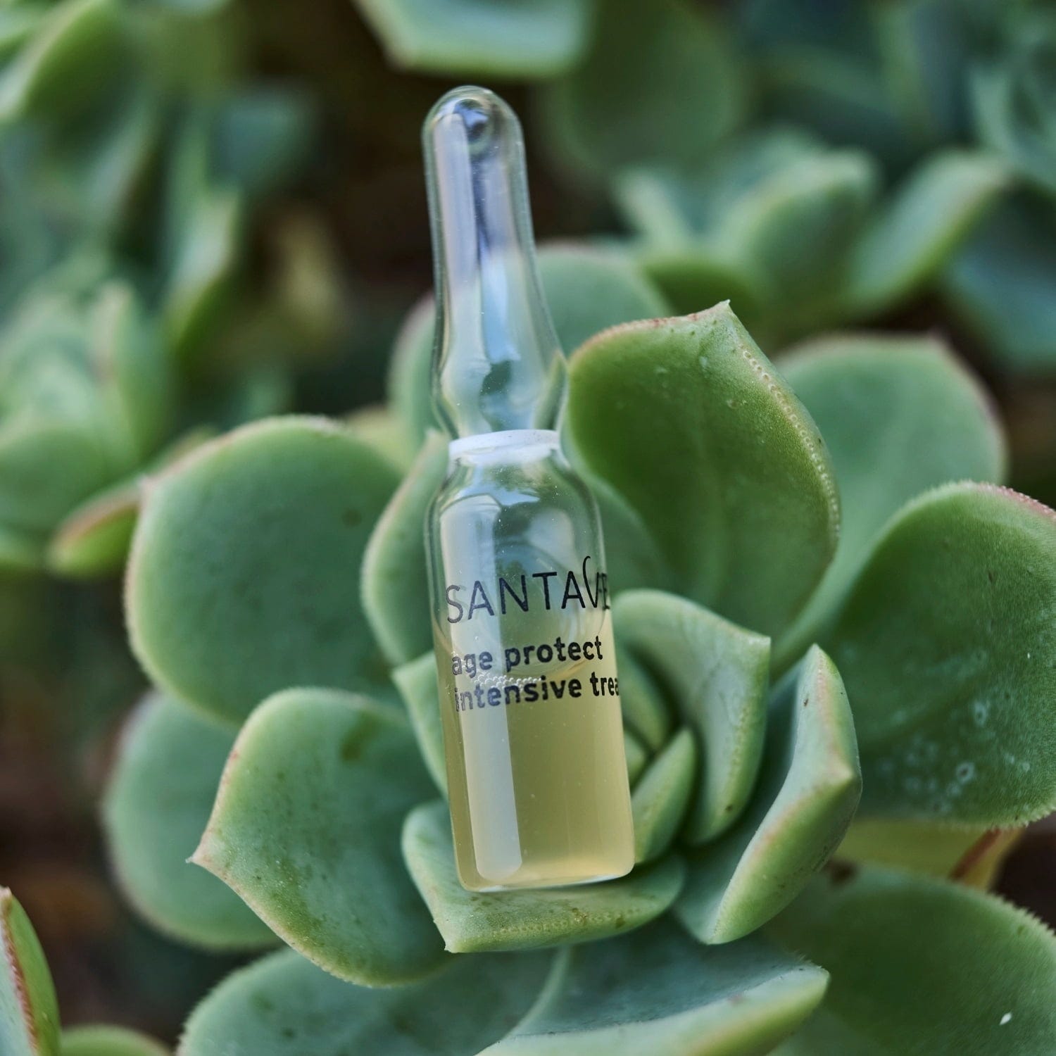 SANTAVERDE  AGE PROTECT intensive treatment, 10 x 1 ml (10 ml)