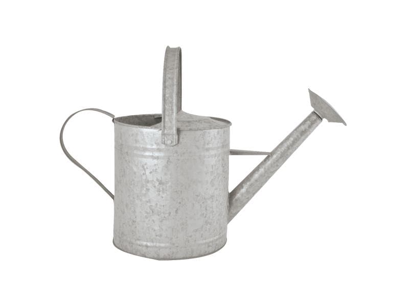 Esschert Design Giesskanne 6.5 l Zink Altzink Giesskanne