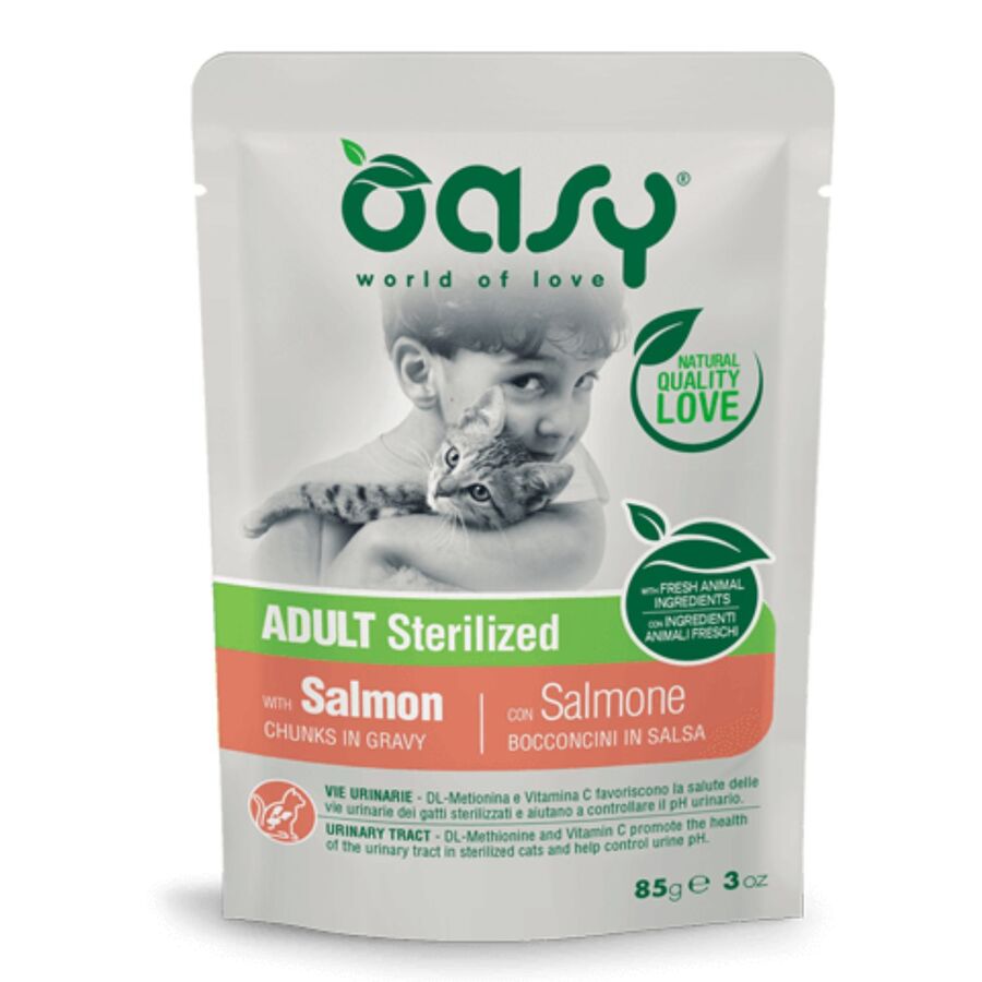 OASY CAT CHUNKS MOLHO SALMÃO ADULTO 85G
