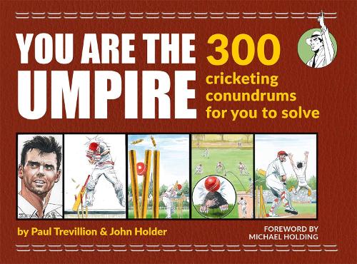 You Are the Umpire (Paperback)