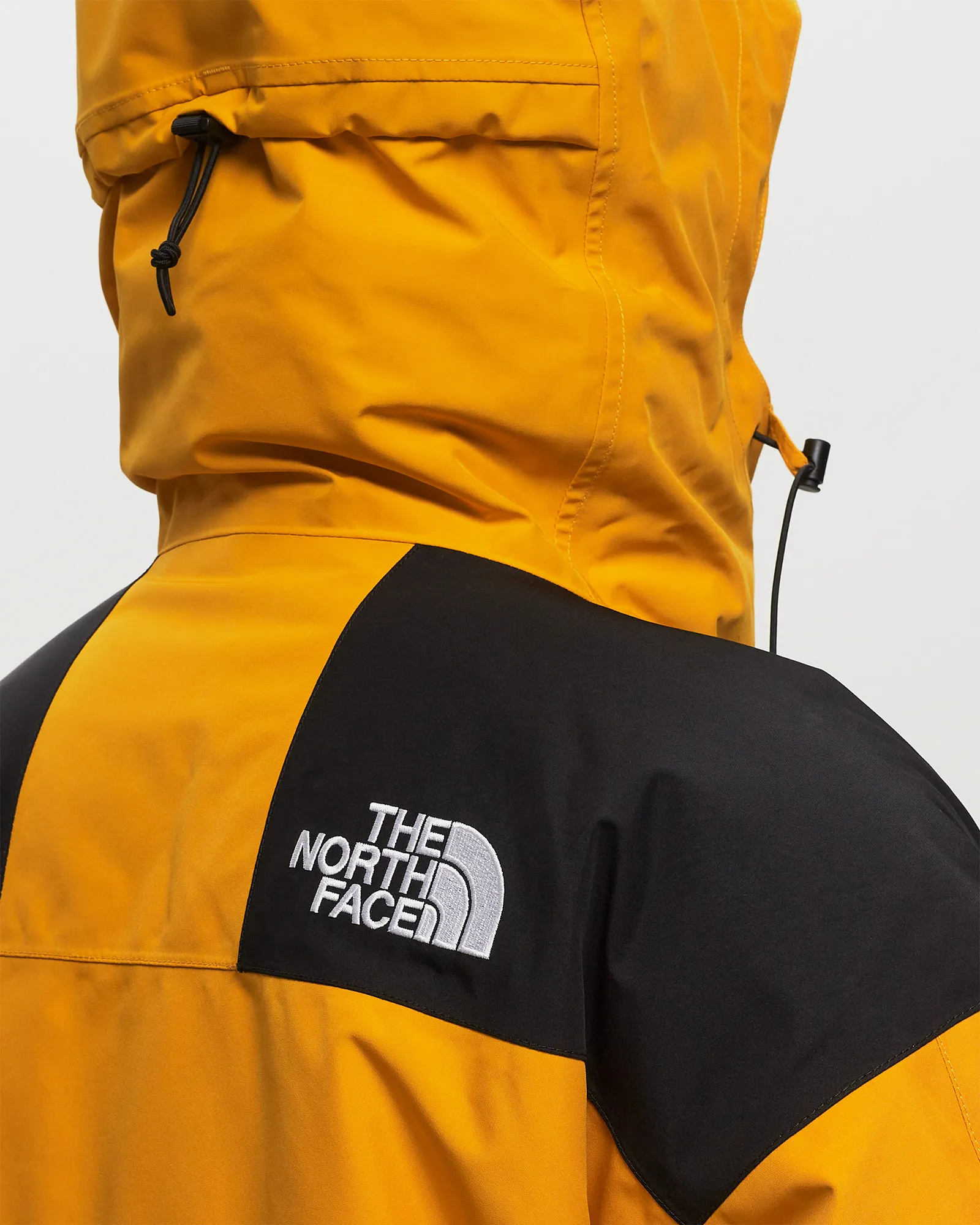 The North Face GTX Mtn Guide Insualted Jacket