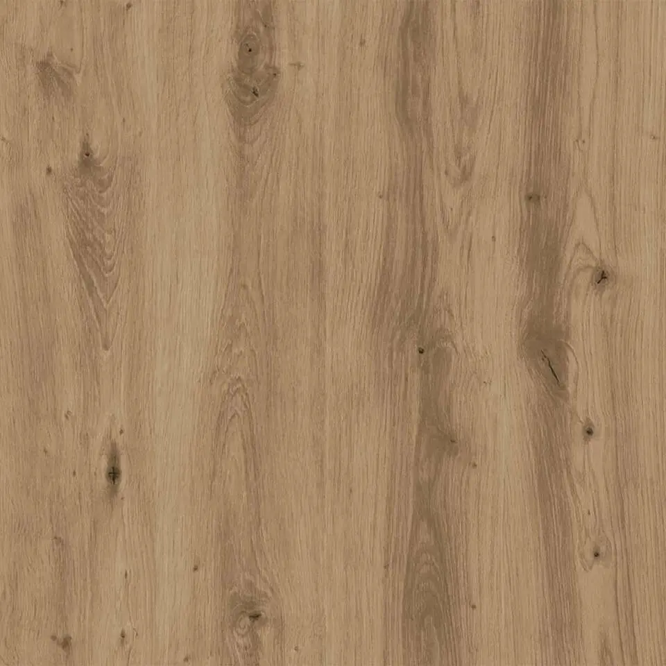 vidaXL - Schoenenkast met 2 deuren - Artisanaal eiken - Hout - 59x35x70 cm