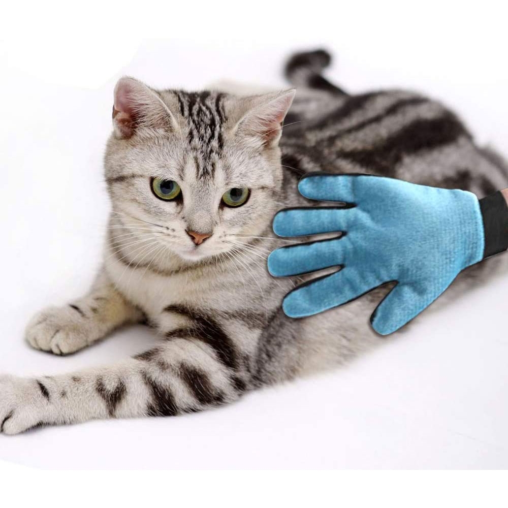 2in1 Haustier Pflegehandschuh Katzen Massage Handschuh Hunde Fellbürste - Blau / Schwarz