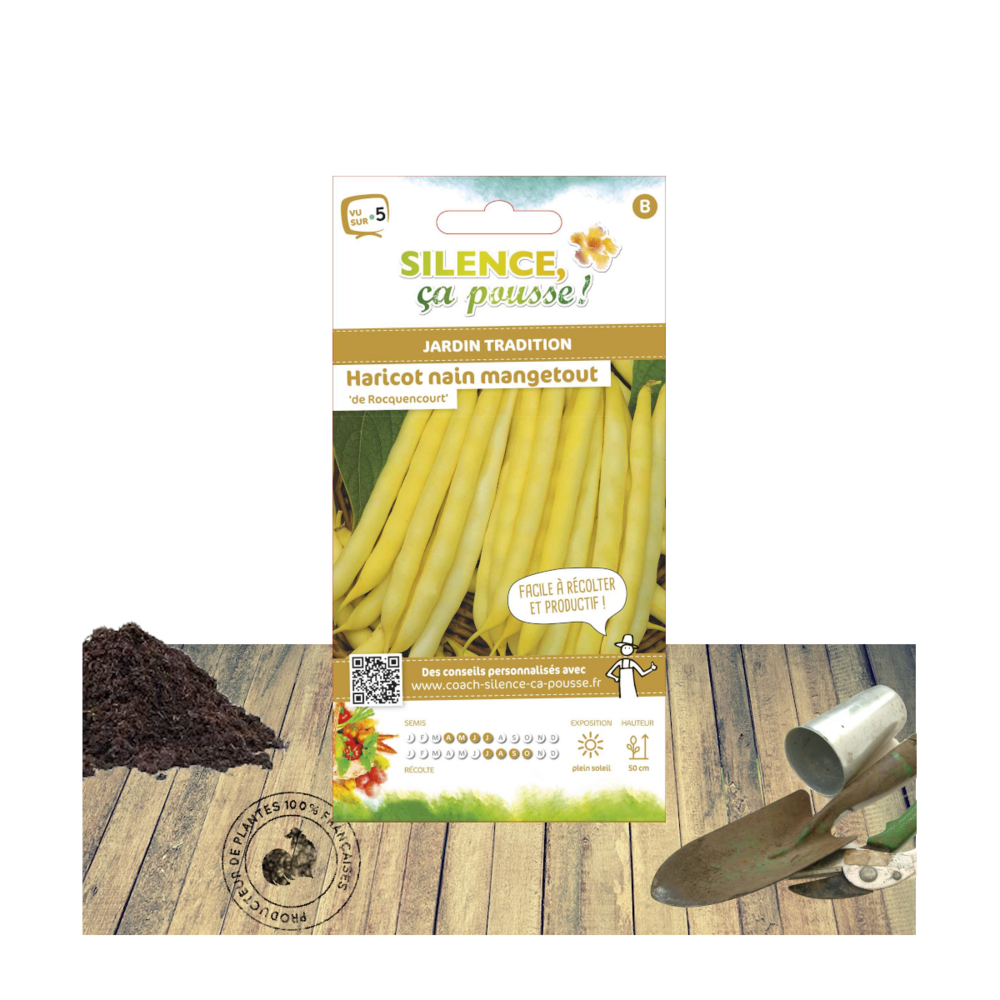 Graines de haricot nain mangetout beurre de rocquencourt/phaseolus vulgaris nain mangetout beurre de rocquencourt[-]sachet de 15 gr.