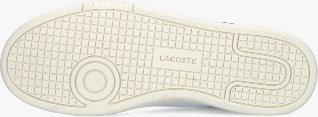 LACOSTE witte lacoste lage sneakers lineshet