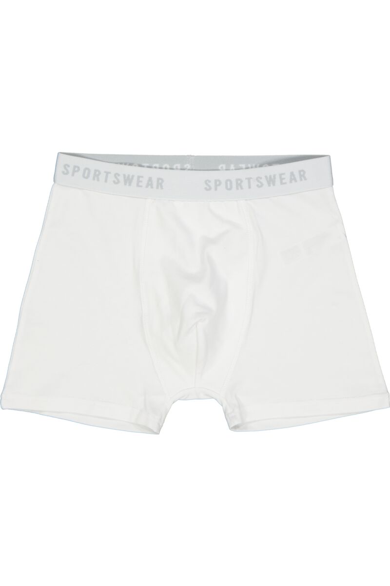 Boxer - Wit