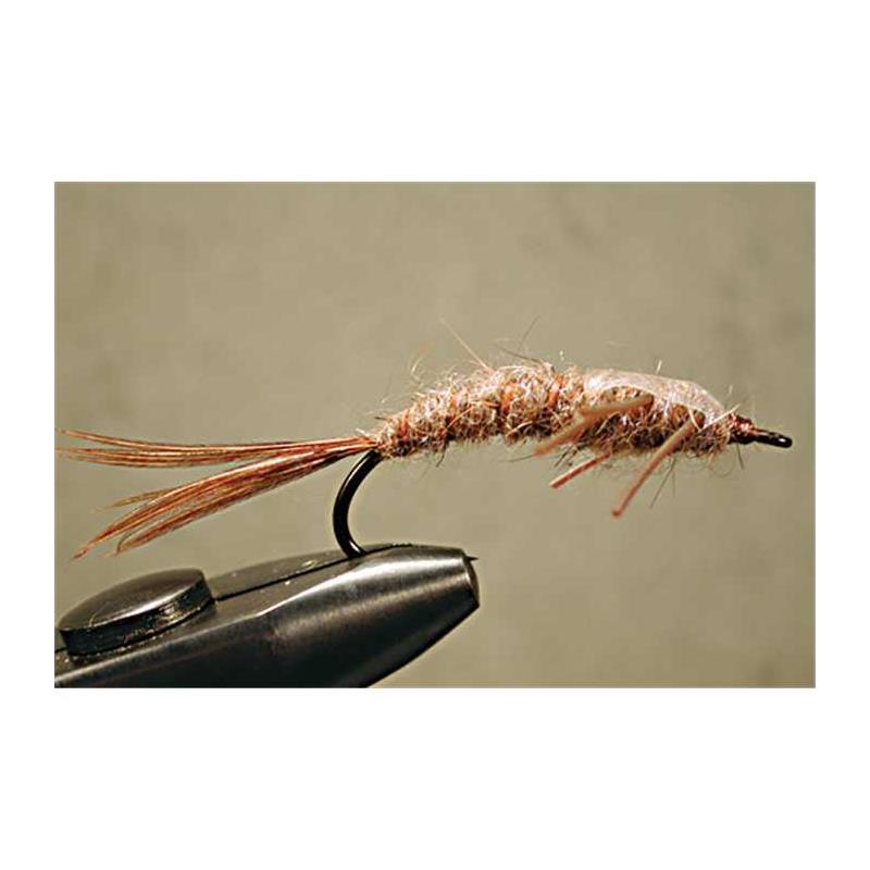Mouche Tof Nymphe Stonefly - Brun
