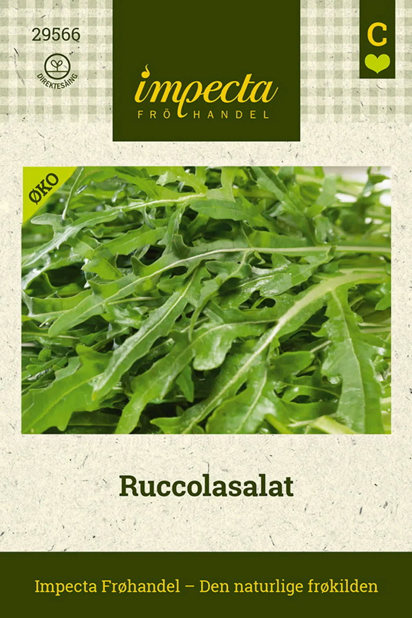 Eruca sativa Ruccolasalat
